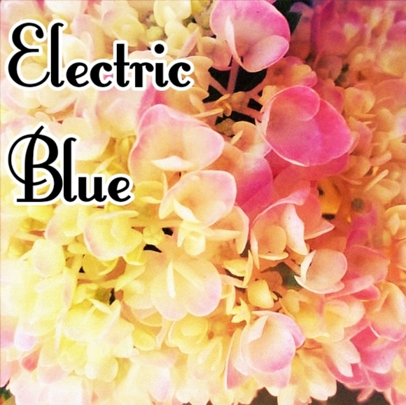 Info - Picture 1 of 1